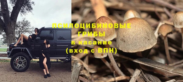 скорость Бронницы