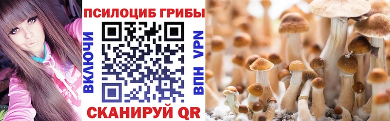 Купить закладки  Минеральные Воды  Псилоцибиновые грибы MAGIC MUSHROOMS 